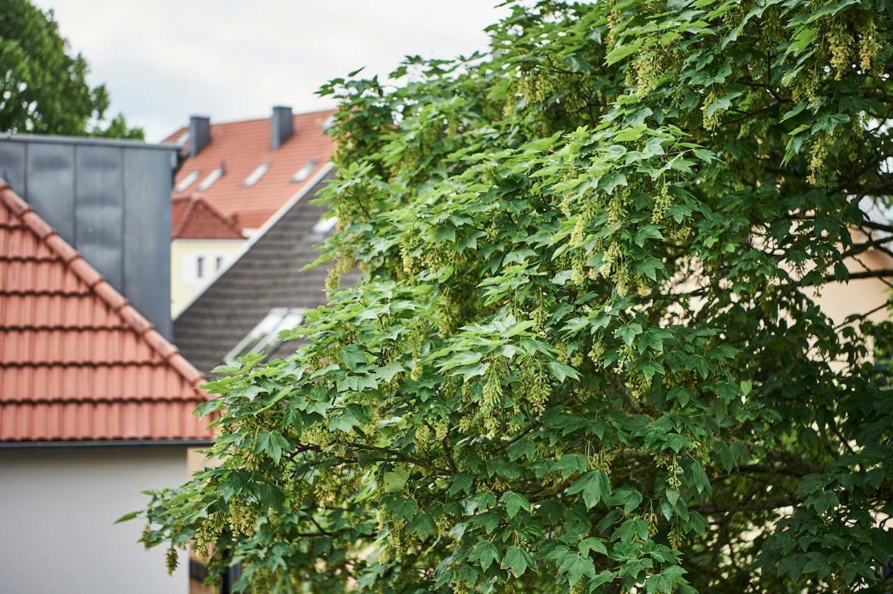 Boardinghome Oldenburg Exterior foto